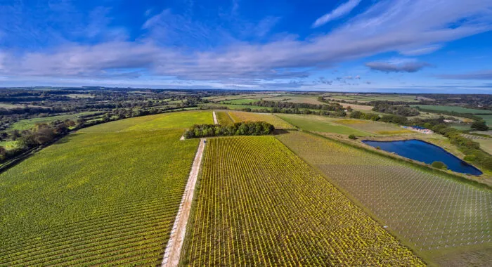 Maison Pommery & Associés