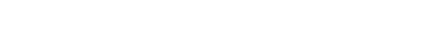 Ammerer Logo
