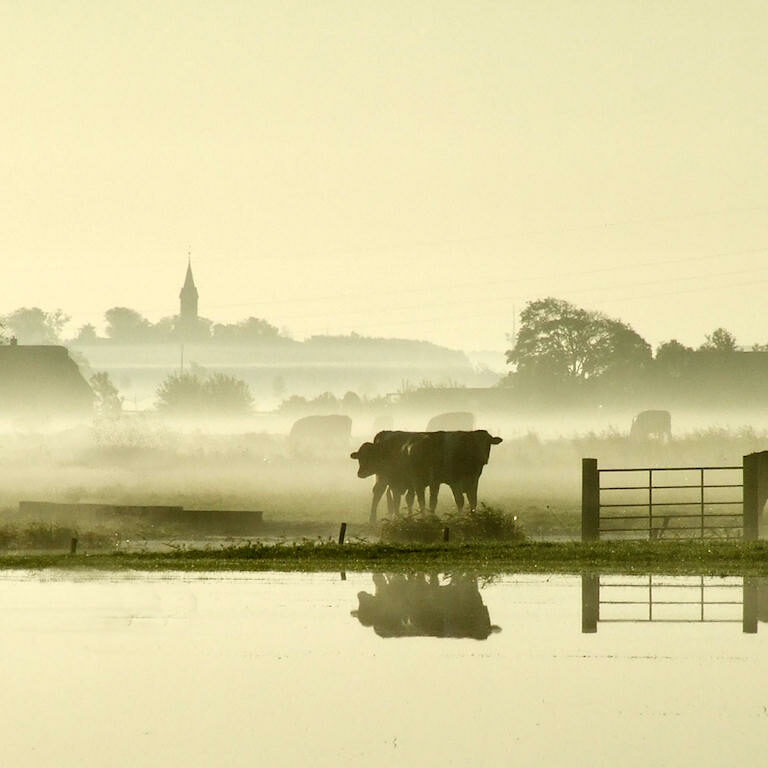 Firmenstandort Waddewarden