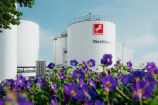Westfalen – Fertigung