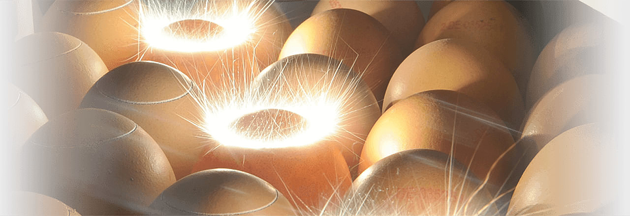 Brutei-Öffnung (Laser Egg Opener)