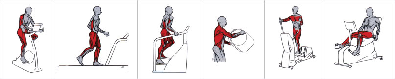 Cardiotraining – Sauerstoff für alle Muskeln
