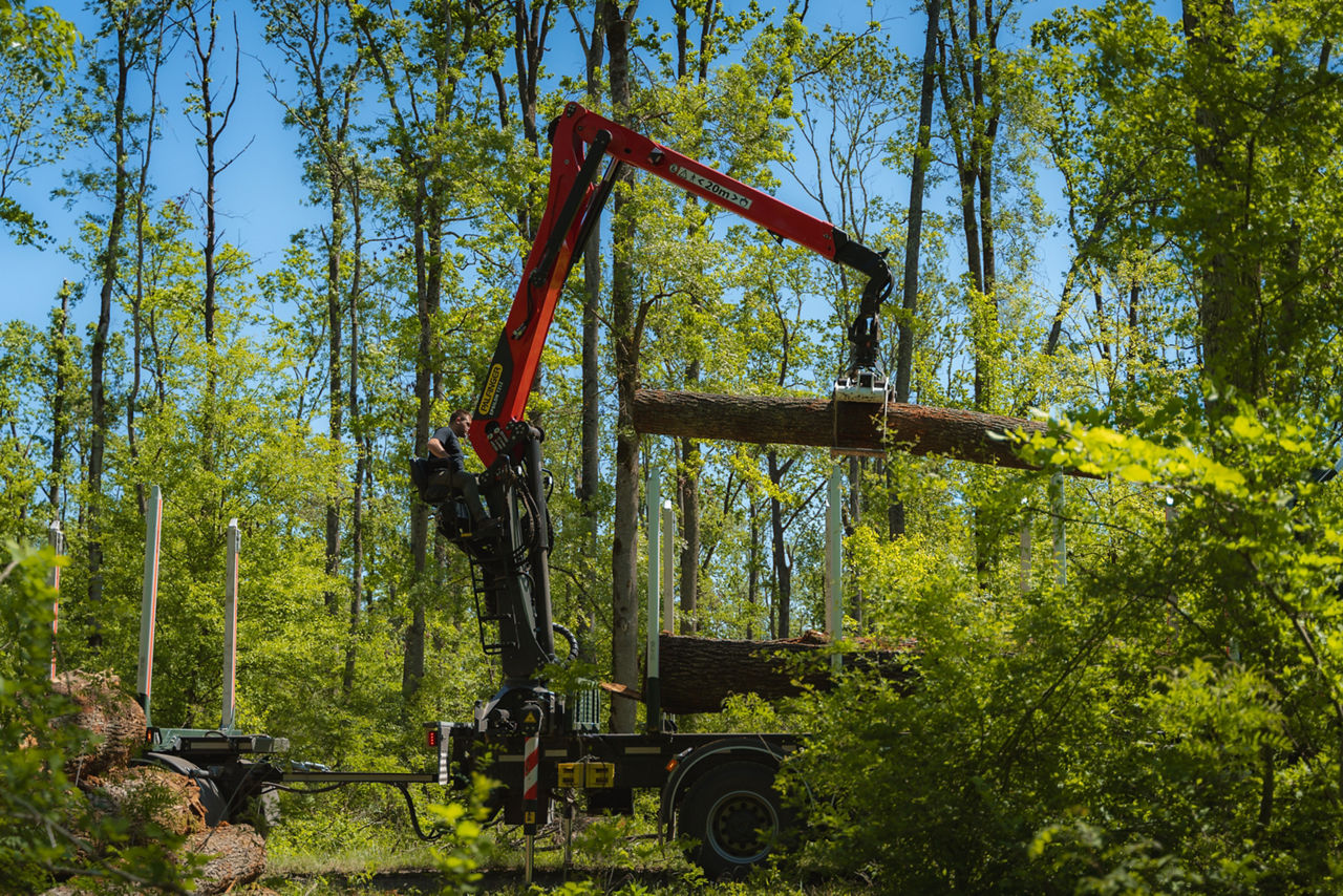EPSILON TZ12 Holz-Ladekran