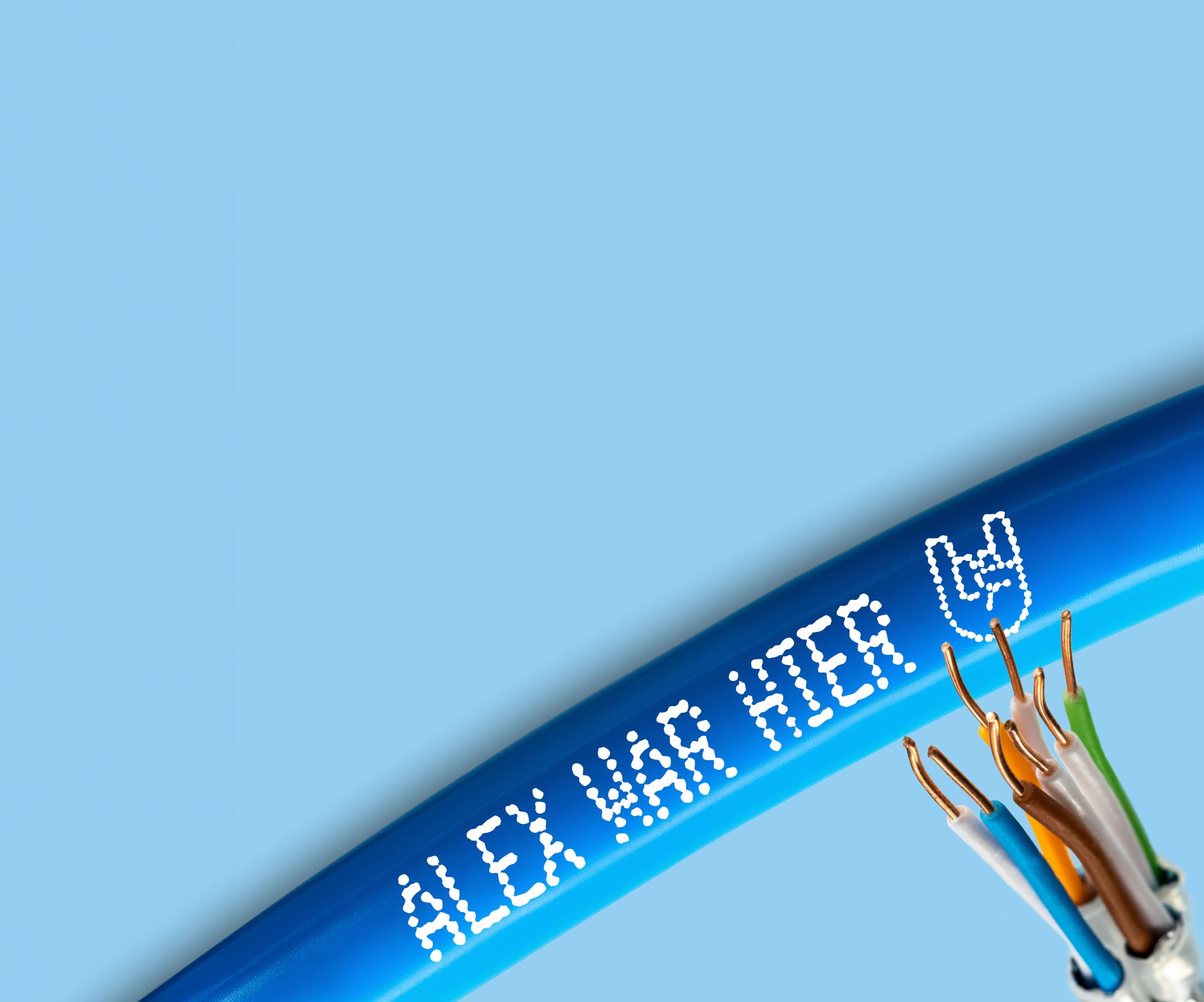 Standort BizLink Special Cables Germany GmbH, Friesoythe