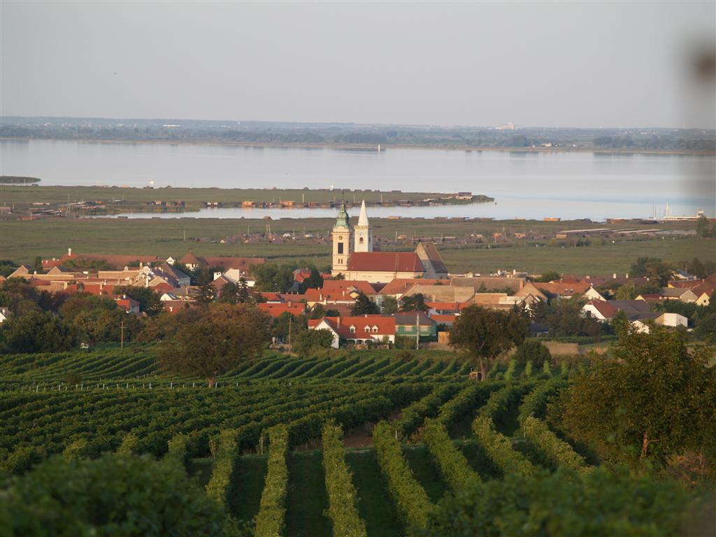 Wein aus den Lagen um Rust