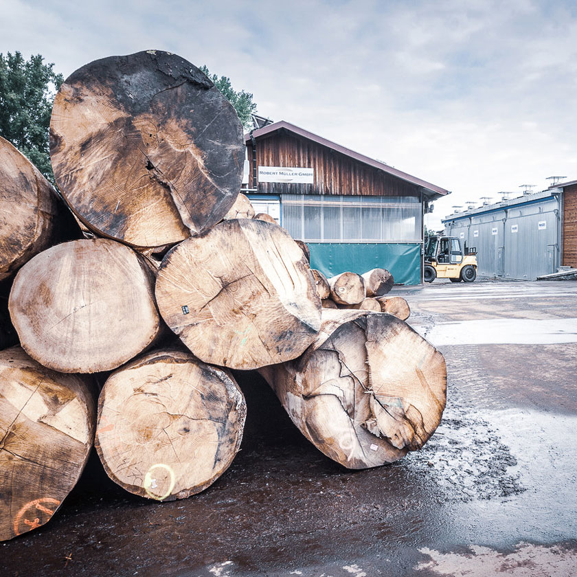 Work at the sawmill