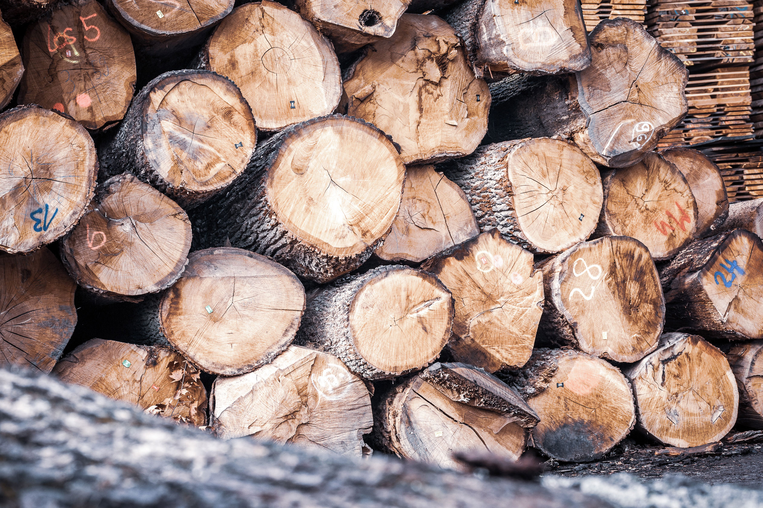 Sorted sawn timber