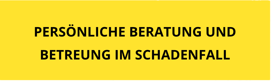 Aktives Schadenmanagement