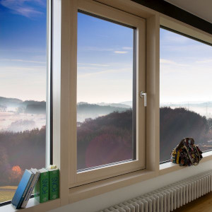 Fenster