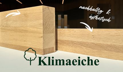 Fensterkantel Klimaeiche