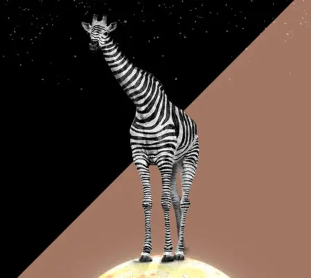Zeichen der Gruppe – die 'Zebraffe'
