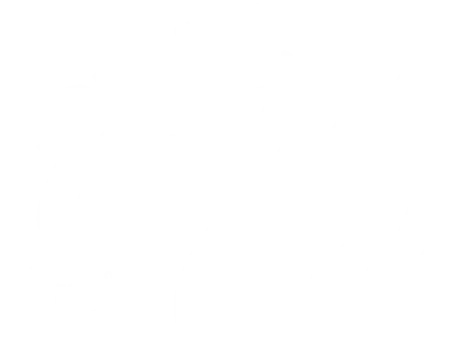 Mister Cool