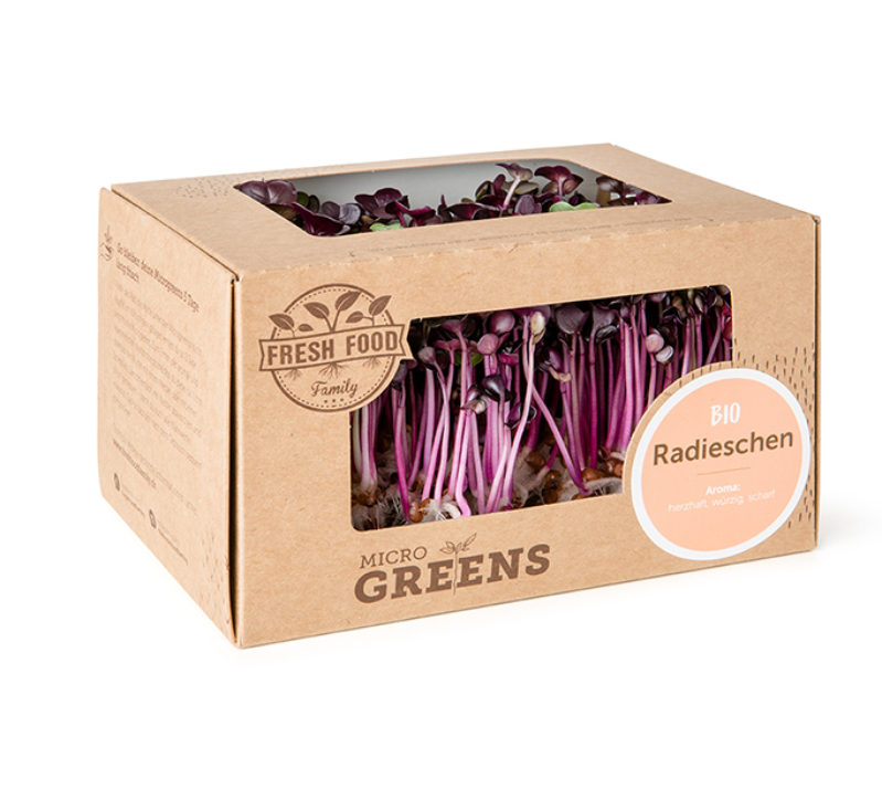 Microgreens Radieschen