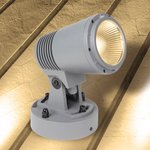 Spot Light