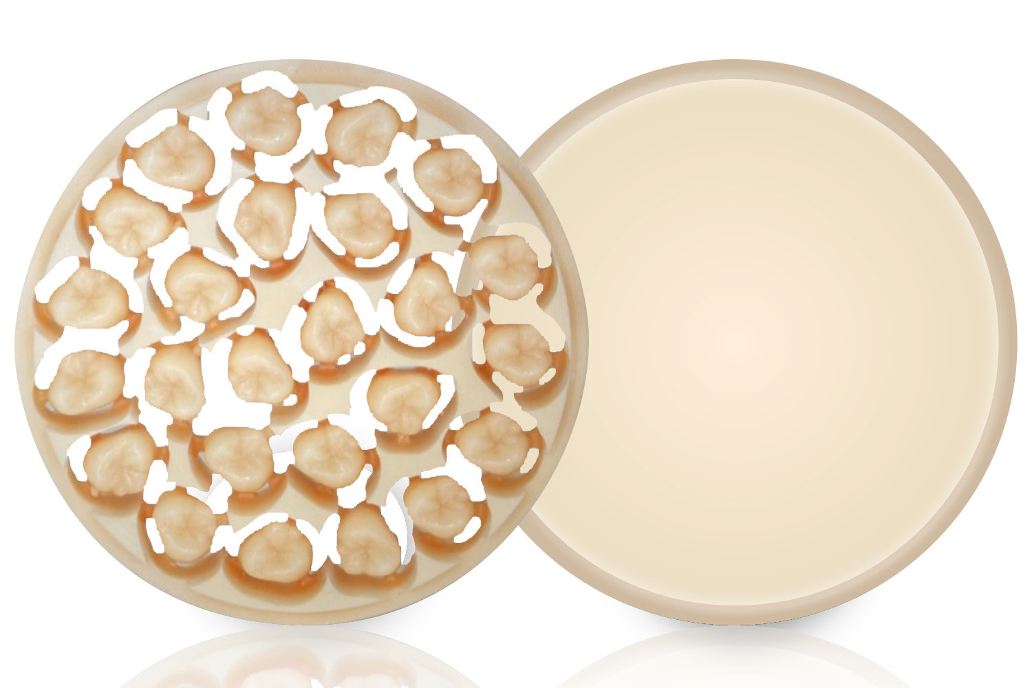 AMBARINO High Class Disc