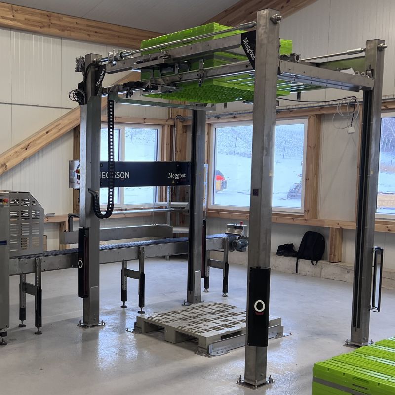 Höcker-Palettierer Meggbot TP100