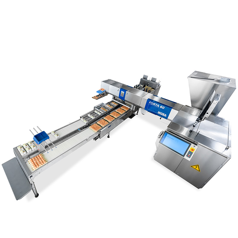 Eiersortiermaschine Forta