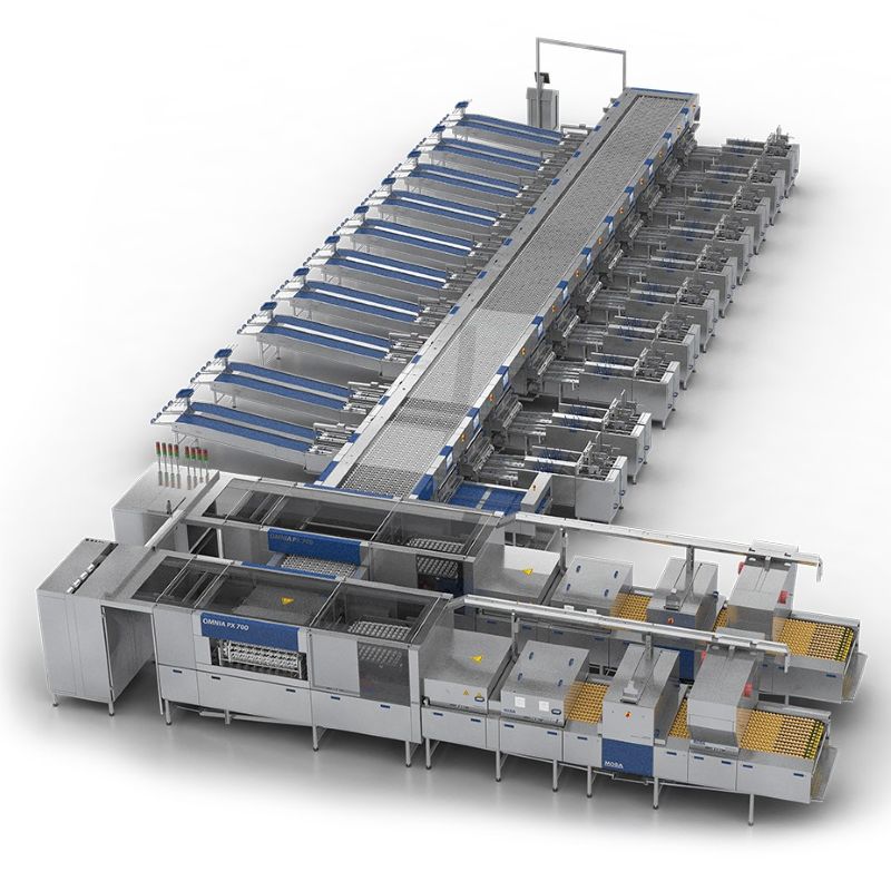 Eiersortiermaschine Omnia PX700
