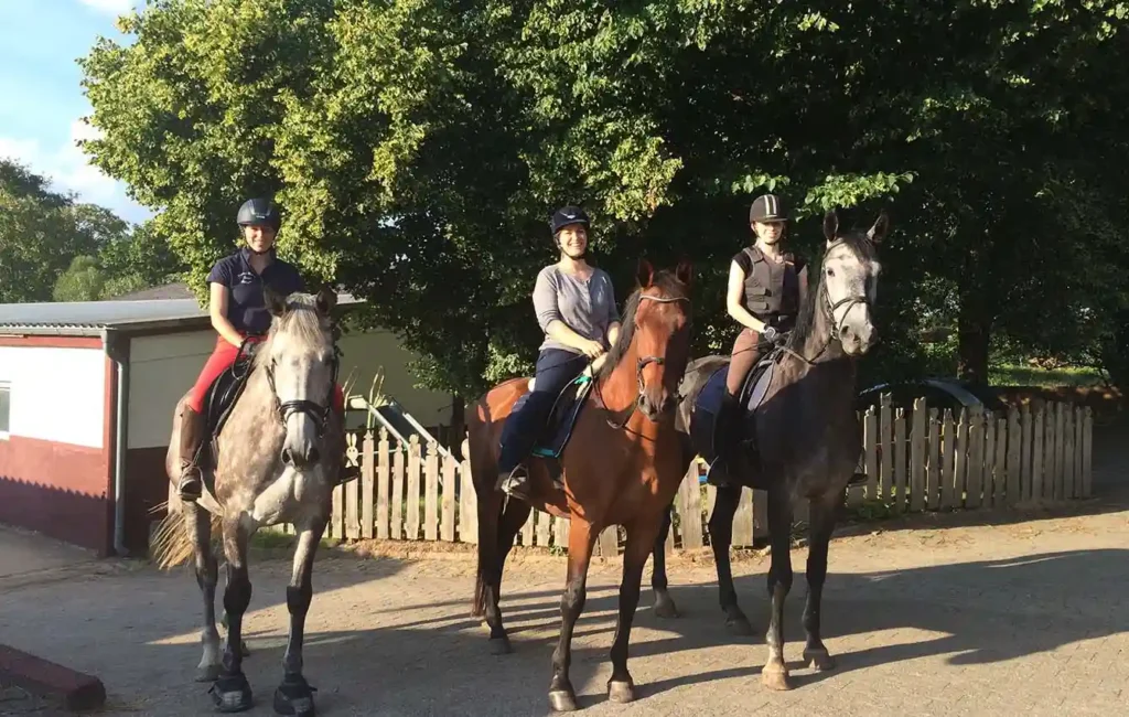 Reitbetrieb mit HIT-Aktivstall-Konzept