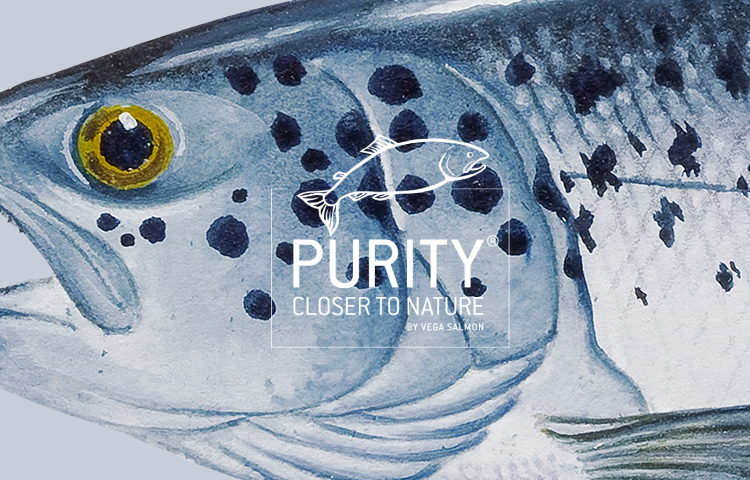 Purity