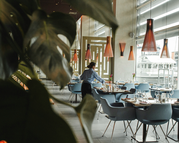Systemgastronomie & Möbelhaus-Gastro