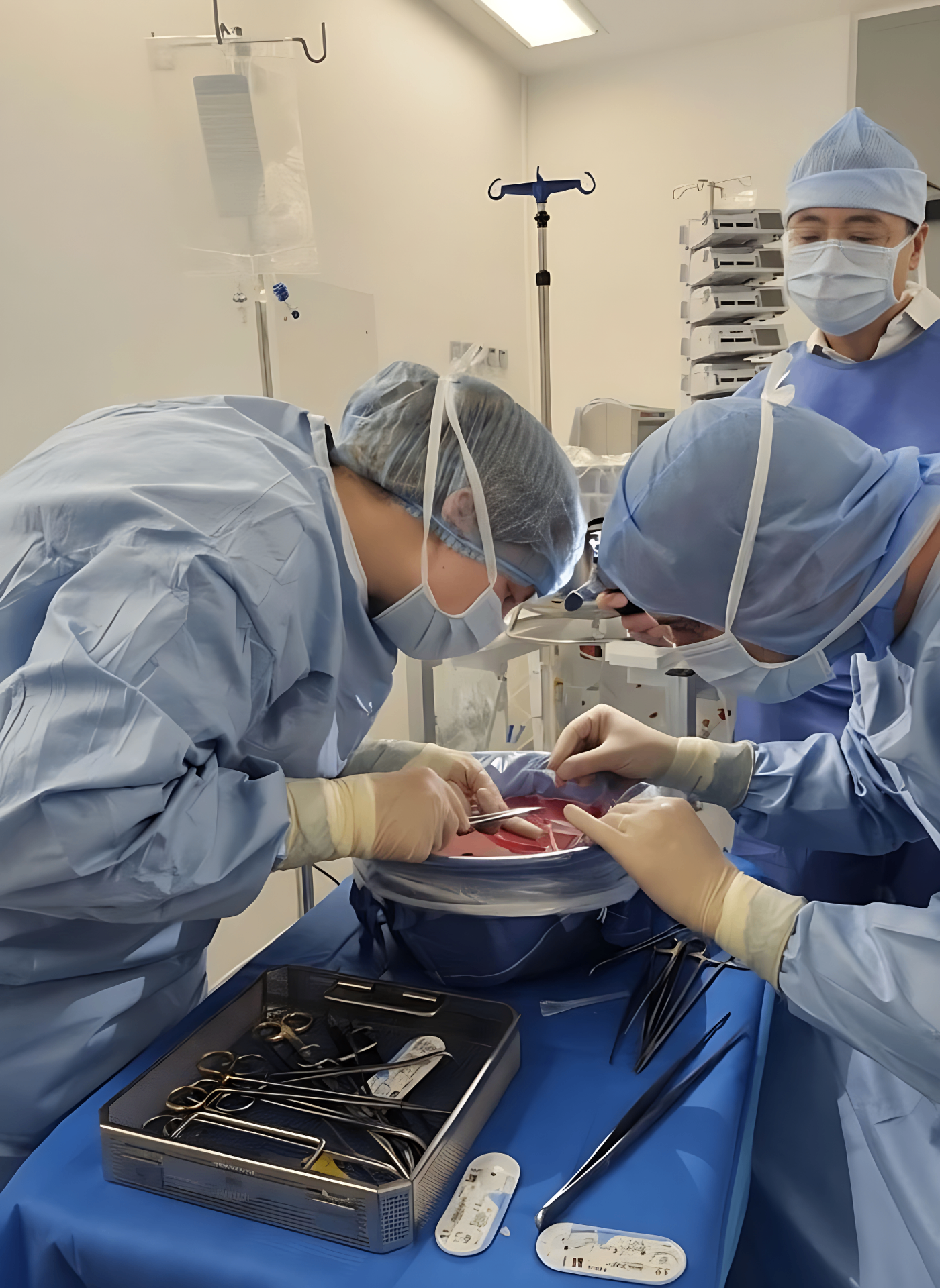 Organperfusionsplattform im klinischen Einsatz