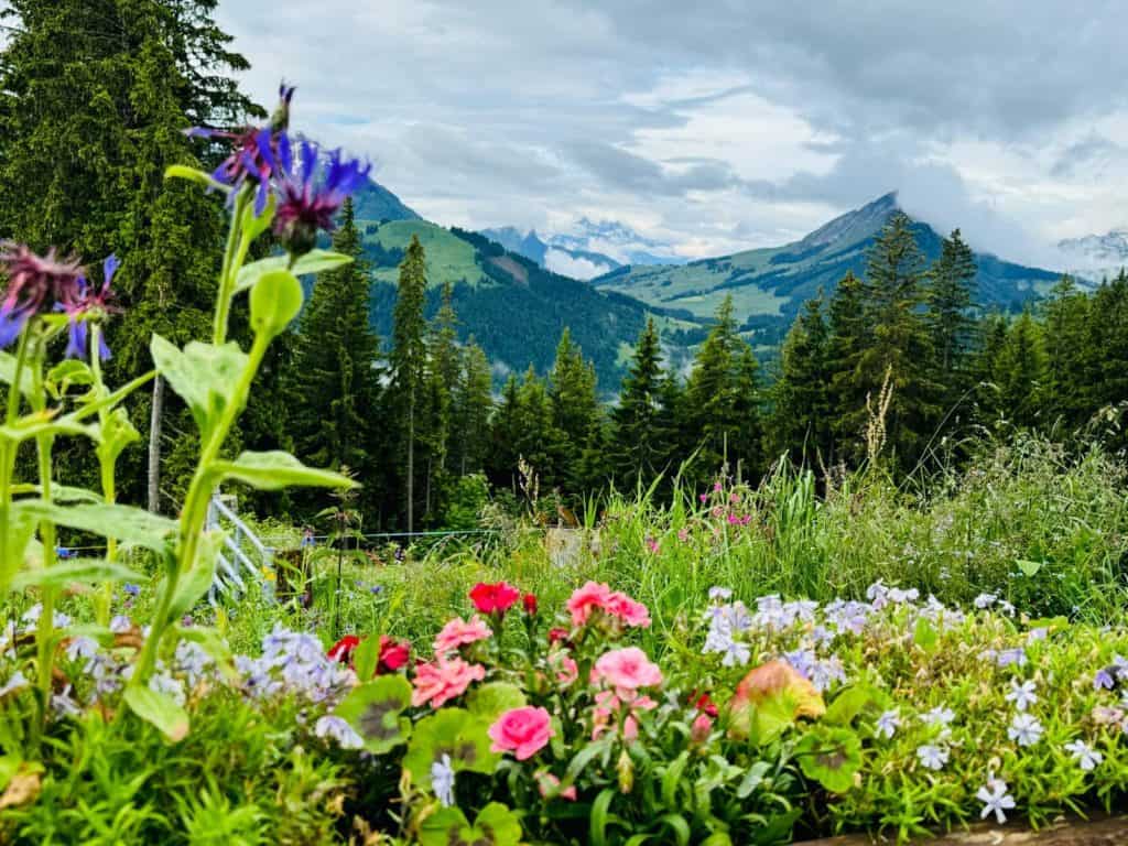 Berglandschaft der Alpweiden bei L'Etivaz