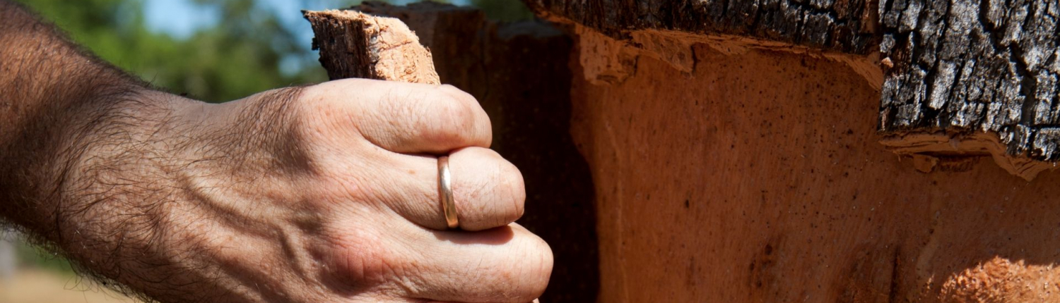 Hand an Korkrinde
