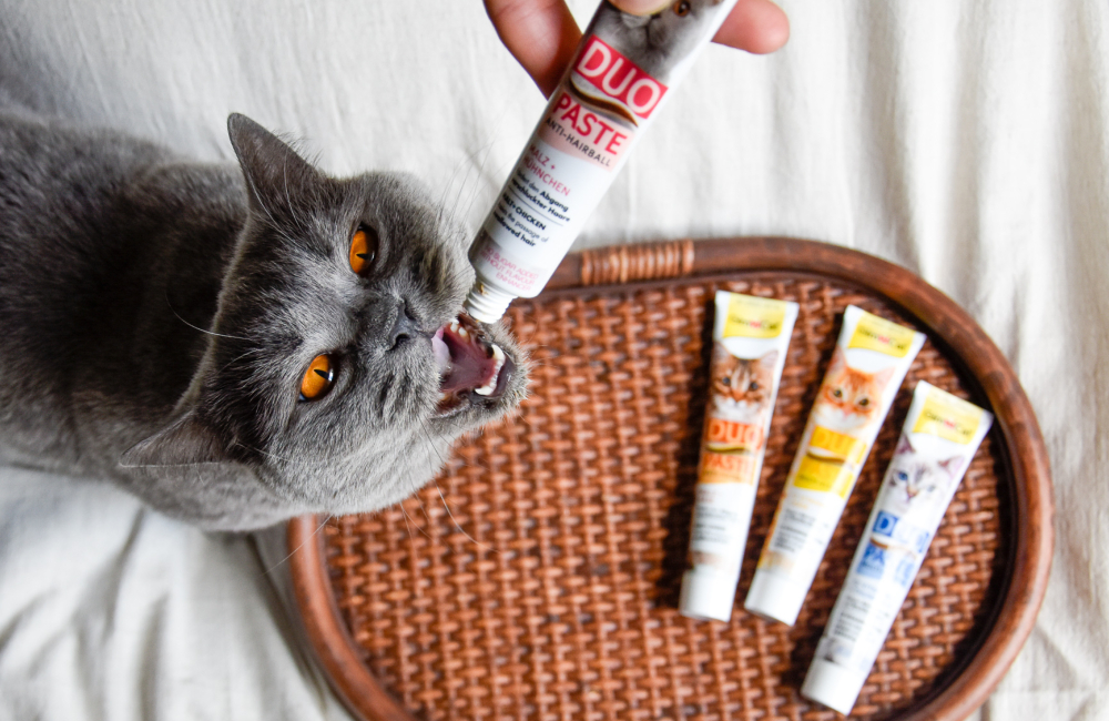 GimCat Duo-Pasten