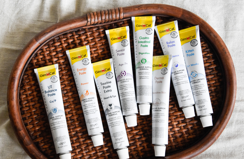 GimCat Expert Line Premium Pasten
