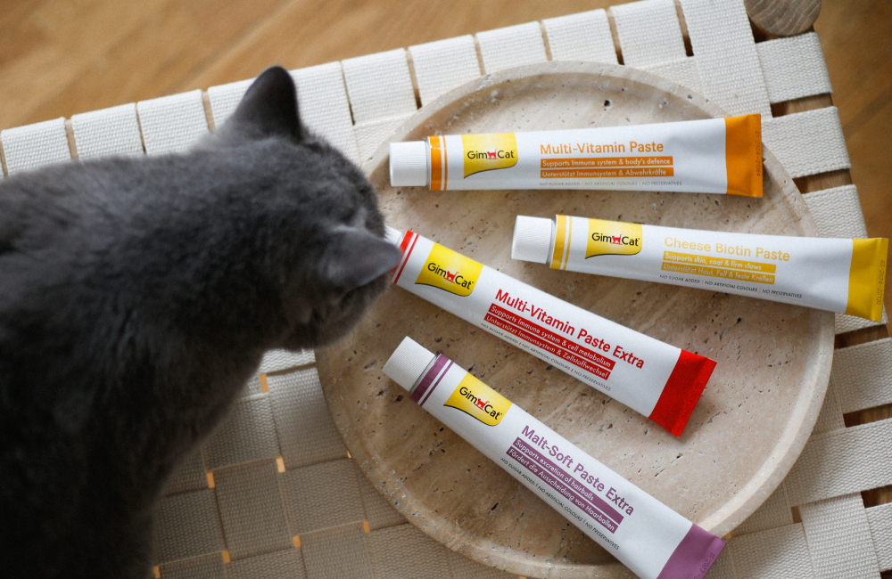GimCat Every Day Pasten