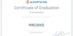 AI.STARTUP.HUB Abschlusszertifikat
