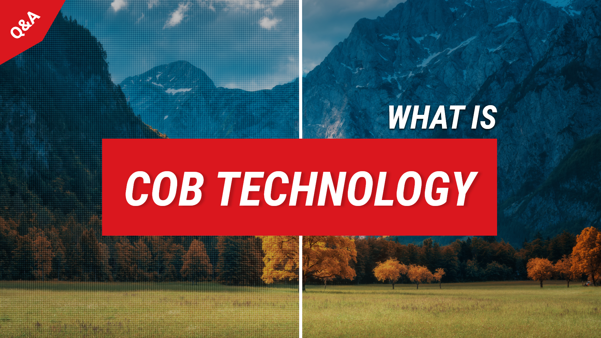 Beitrag zur COB-Technologie