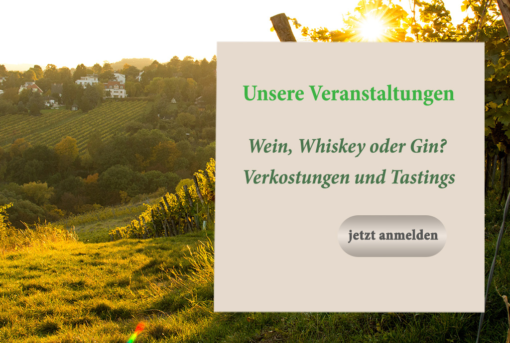 Veranstaltungen