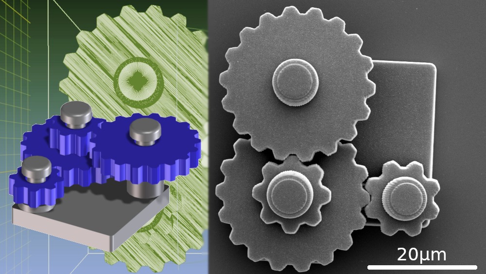 3D-Mikrostruktur (Mikrozahnrad)