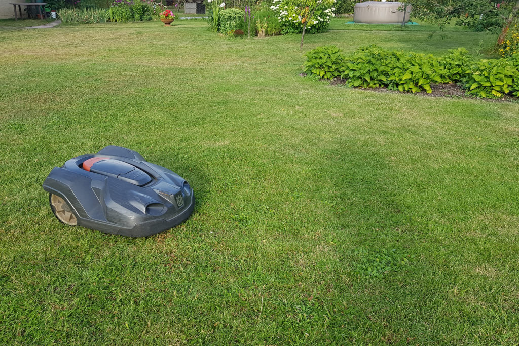 Mähroboter im Garten