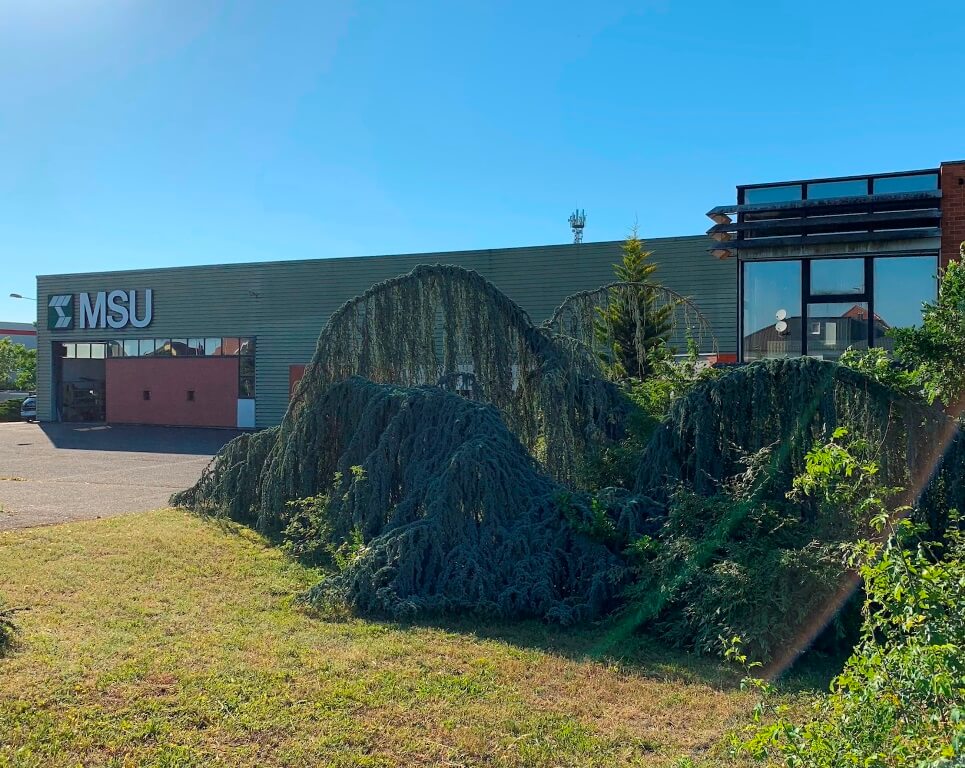 Standort Elsass (MSU)