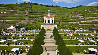 Erlebnisweingut Belvedere – Eventkalender