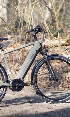 Entdecker 4.0 E-Bike with Step-Through Frame