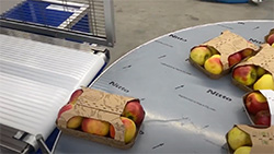 Verpackungsmaschinen im Einsatz