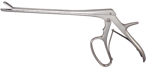 Intervertebral-Rongeure, Großansicht