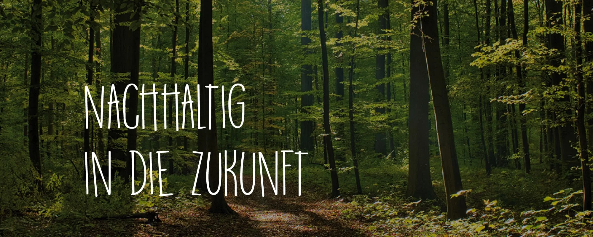 Nachhaltigkeit in der Produktion