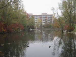Bügelsee, Frankfurt am Main