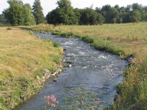 Wiederherstellung der Durchgängigkeit der Wetter, Görbelheim