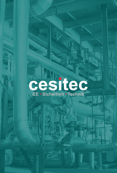 Kompetenzen der cesitec GmbH