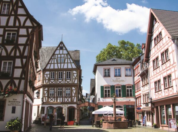 76th Annual Meeting der ISE, Mainz