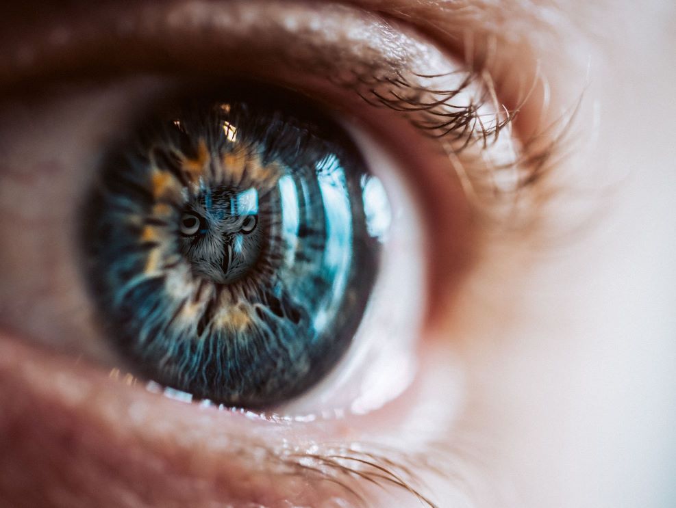 syrto Eye