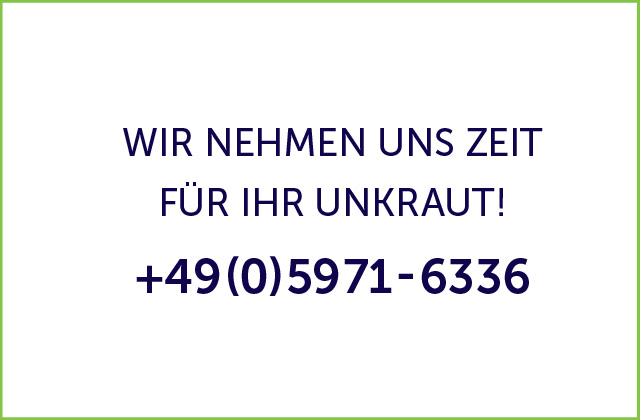 Unkrautentfernung