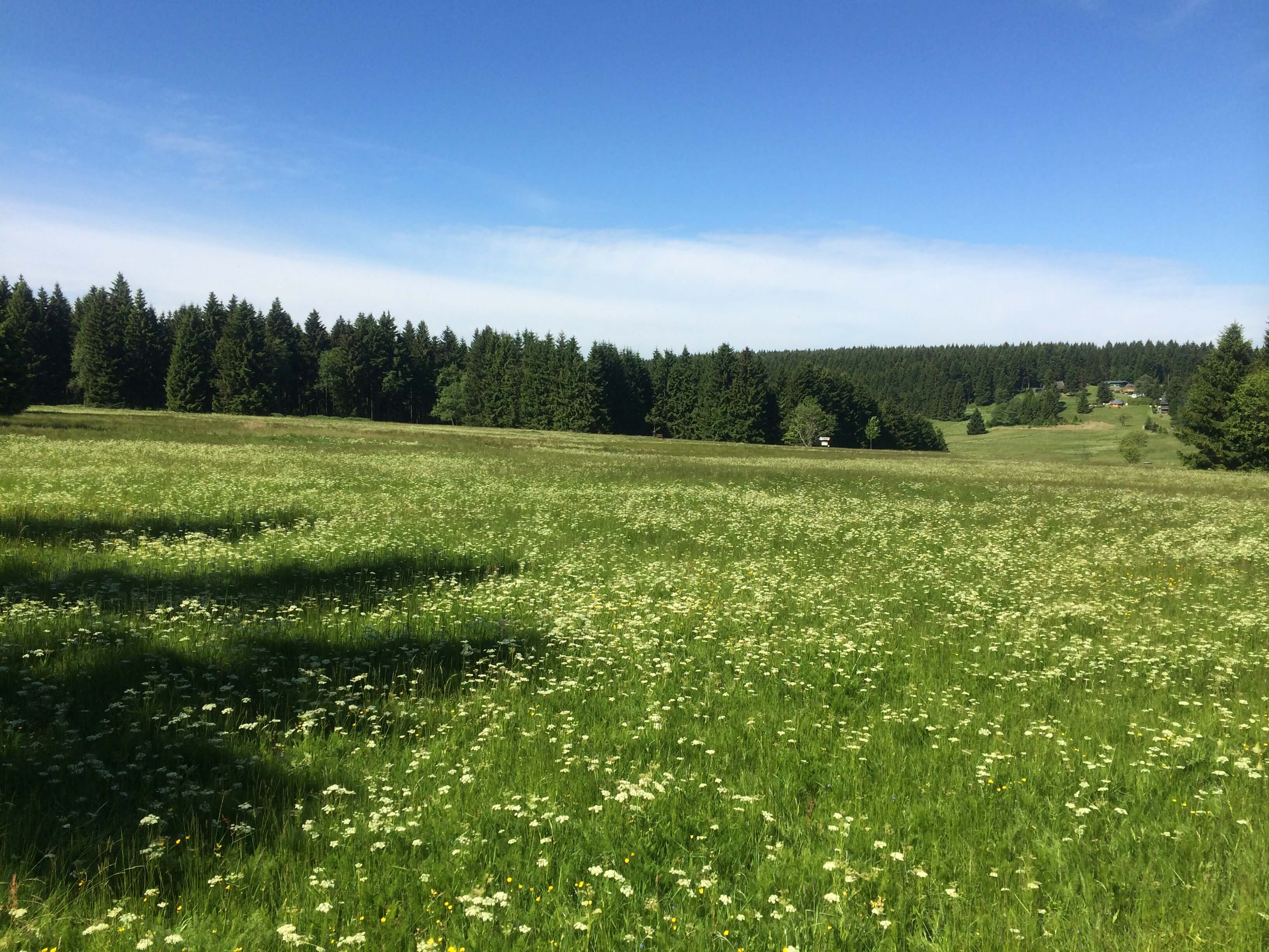Standort Neuhaus am Rennweg OT Scheibe-Alsbach
