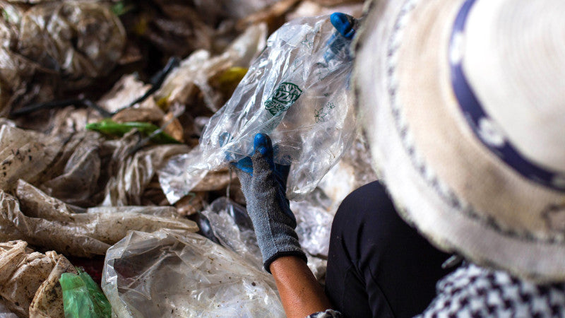 Recover: Sammlung wilden Plastiks